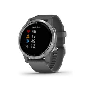Watch Cardio GPS Garmin Vívoactive 4 - Silver / Gray