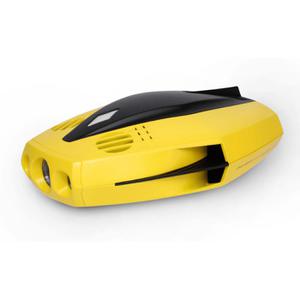 Drone Underwater Chasing Dory