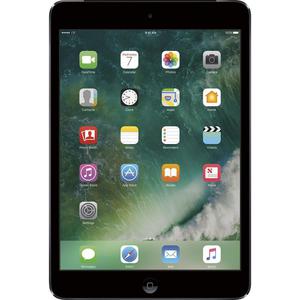 Apple iPad mini 2 16 GB