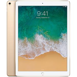 Apple iPad Pro 12.9-Inch 2nd Gen 256 GB