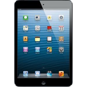 Apple iPad mini 32 GB